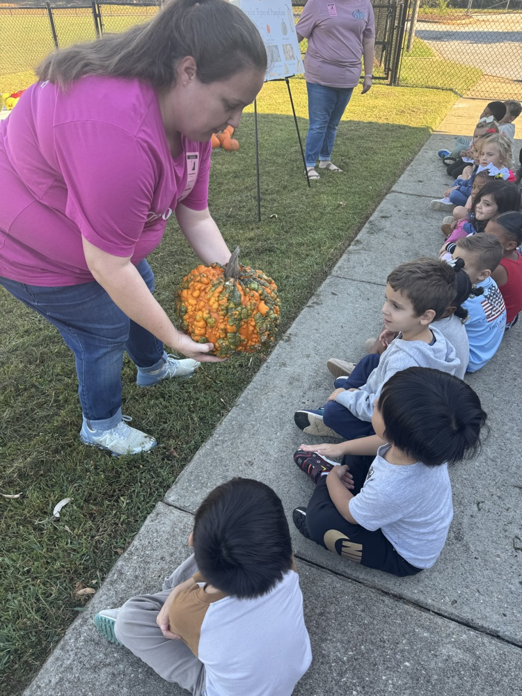 students learning about the lifecycle of pumpkins and apples