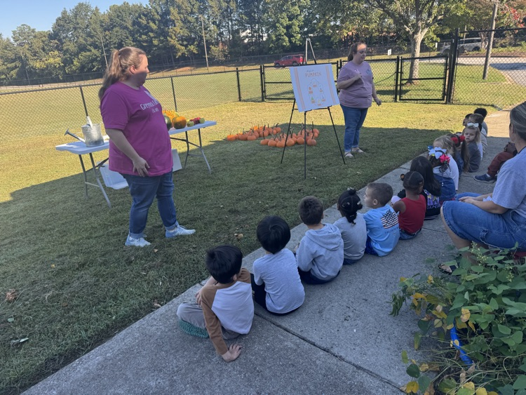 students learning about the lifecycle of pumpkins and apples