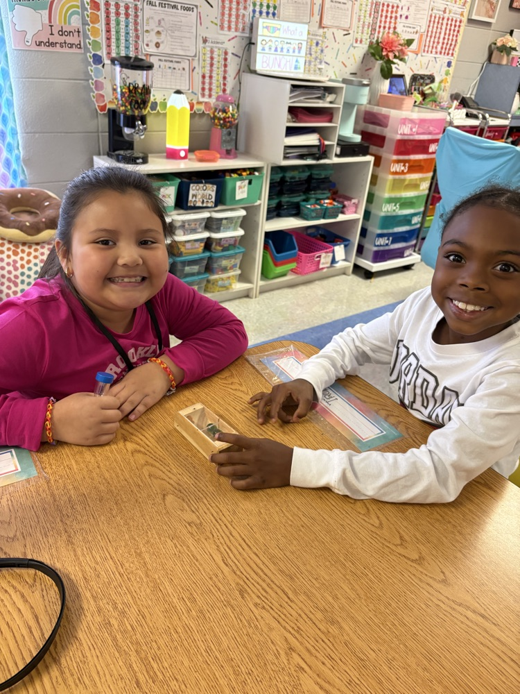 students playing board games 