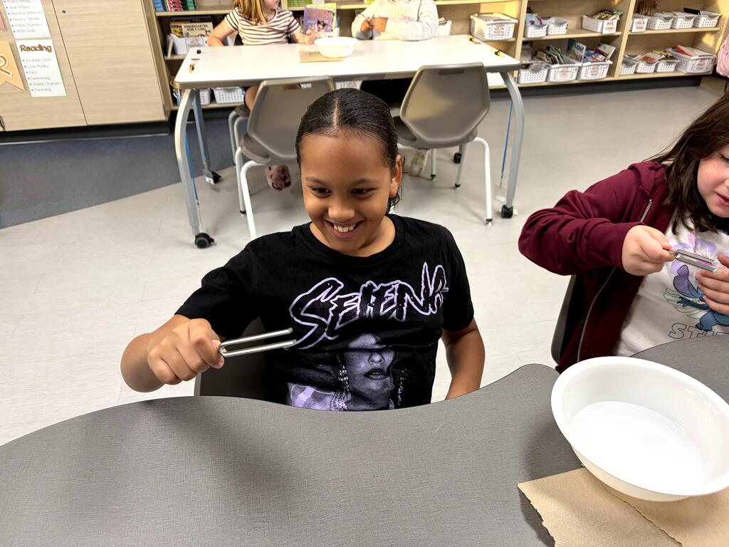4th grade sound watershed