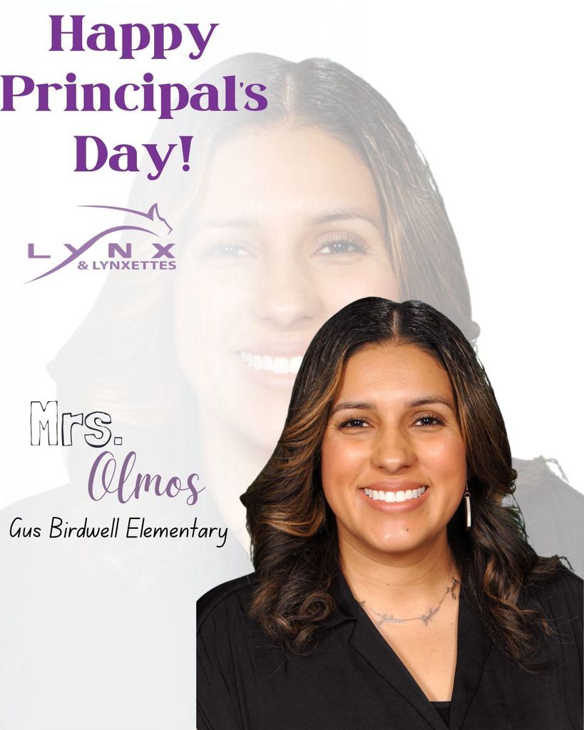 principal 