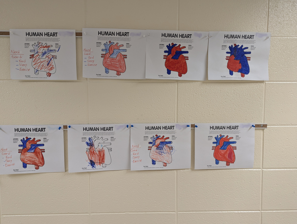 Picture of student worksheets of the human heart
