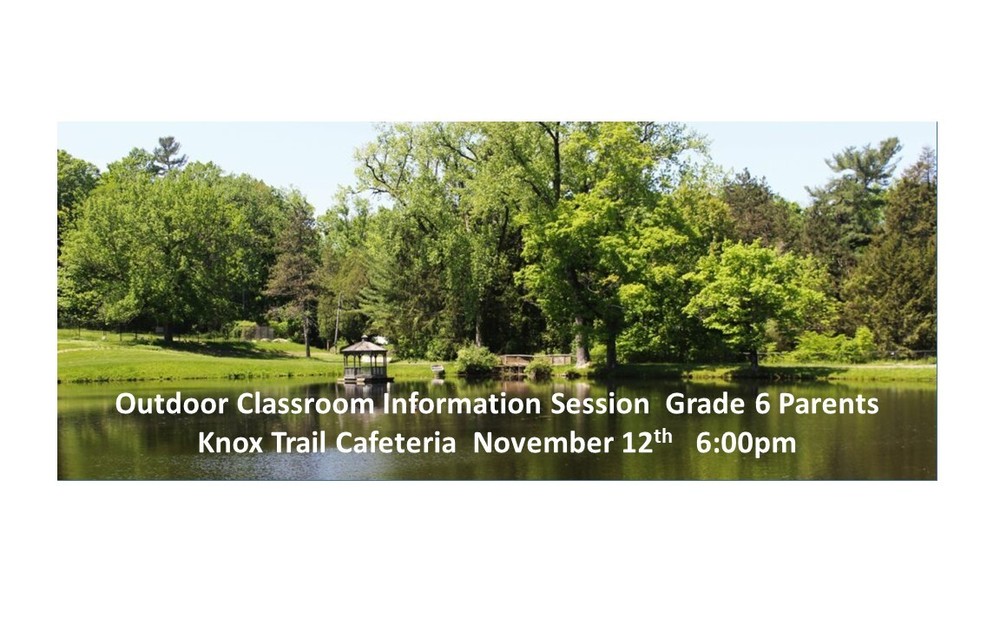 Trees and grass surrounding lake