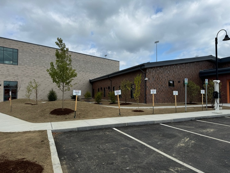 preschool landscape 2025 