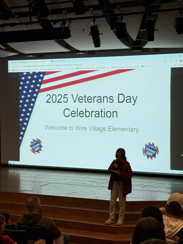 Veterans Day 2025 celebration at wire village school
