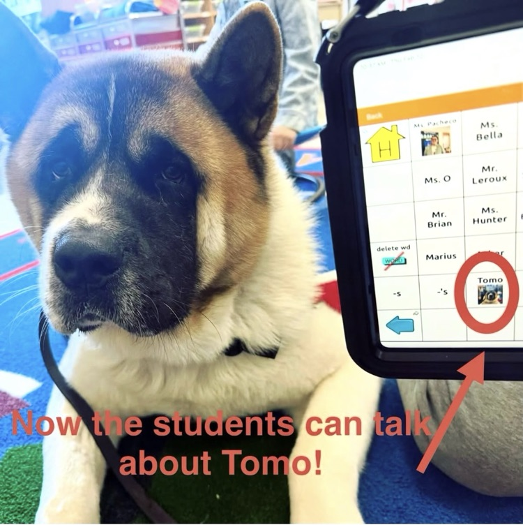 We can talk to Tomo! @ChooseSEBRSD