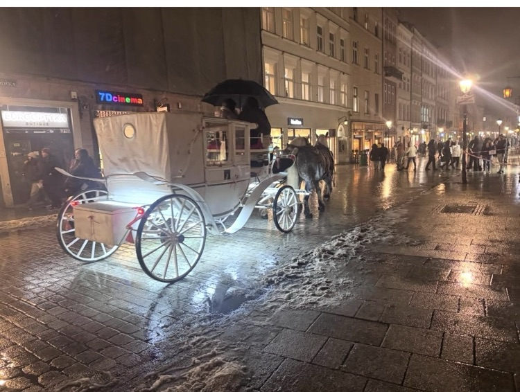 dphs.mrs.forfa Day 6: big travel day to Krakow. Lots of sleeping and snacks on this ride. We arrived to Krakow around 5pm and took a tour with Greg around the center of town. Tomorrow will be an emotional day with Auschwitz's and Salt Mine.