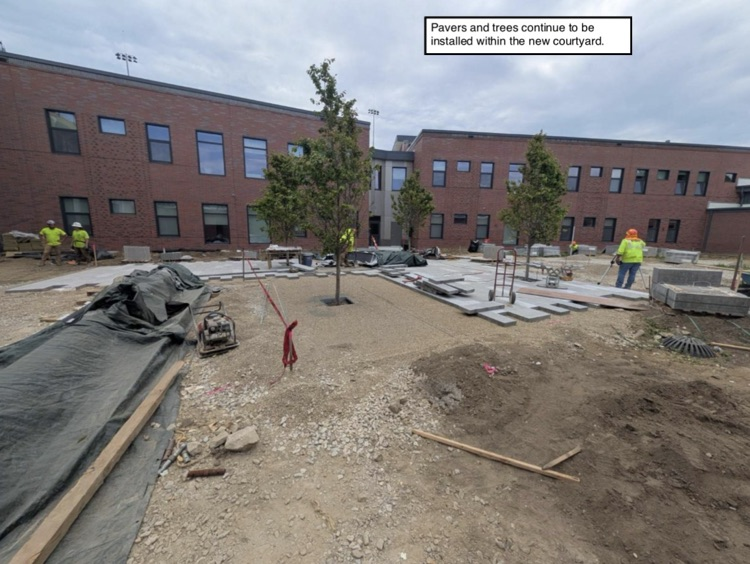 DPHS 248