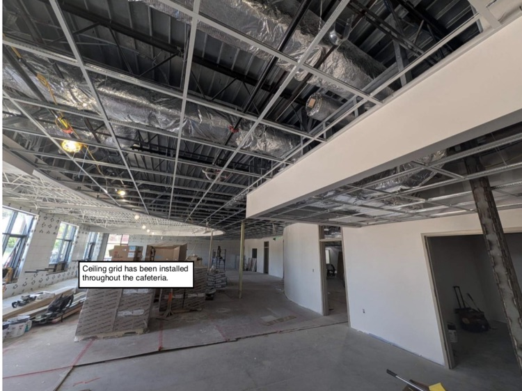 DPHS 251 