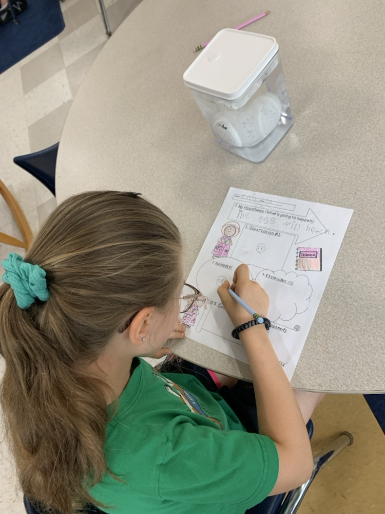 Extended School Year 2026: Kindergarten and Grade 1 students had fun learning about dinosaurs. @ChooseSEBRSD @MASchoolsK12 @MASCSchoolComm