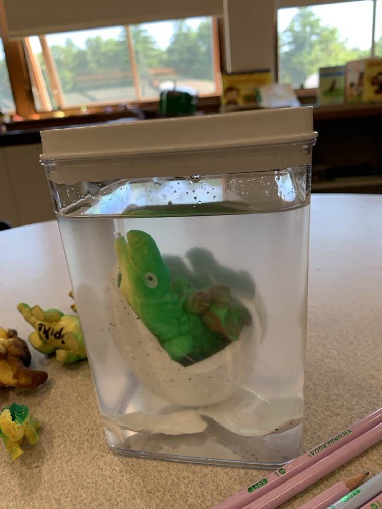 Extended School Year 2026: Kindergarten and Grade 1 students had fun learning about dinosaurs. @ChooseSEBRSD @MASchoolsK12 @MASCSchoolComm
