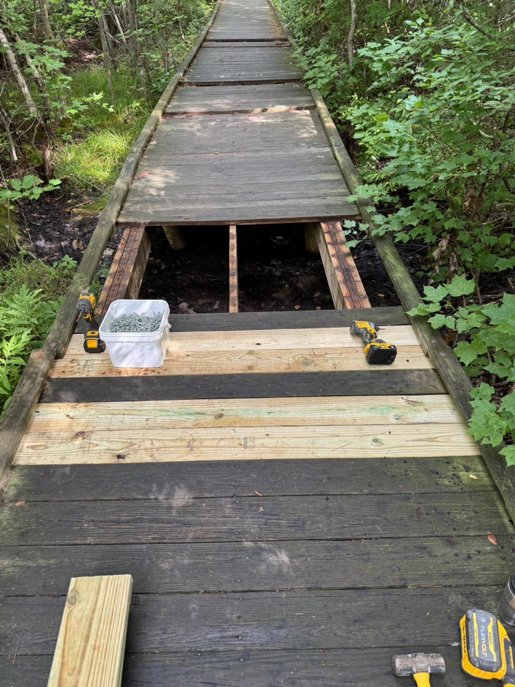 Wire Village School Walking Bridge