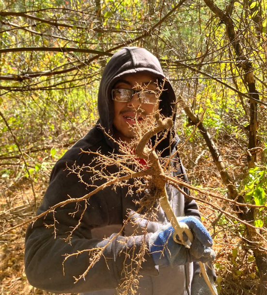 Environmental Science