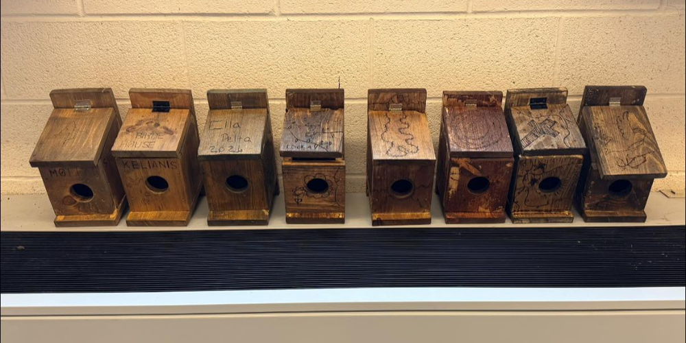 SVE ag club Bird feeders 