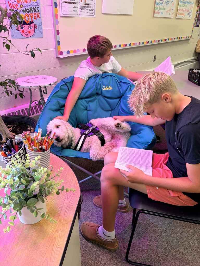 Students reading books in class with a service dog.