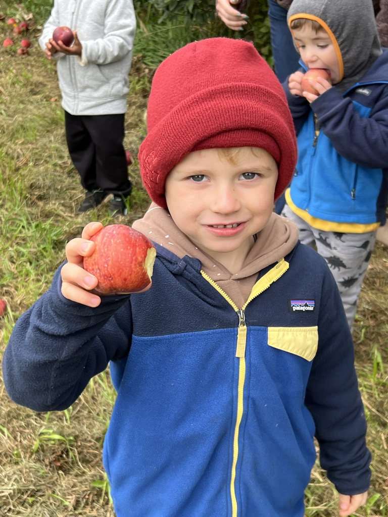 Preschool student holding an apple in an orchard.