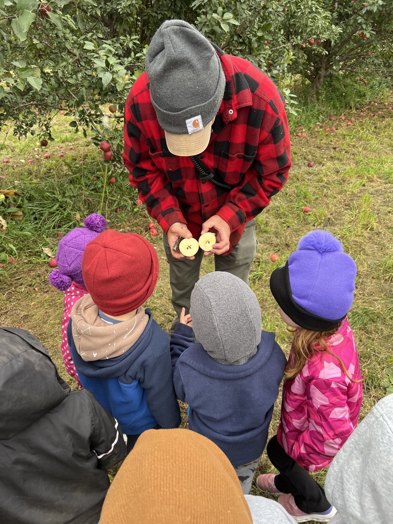 Preschool students learning about apples.