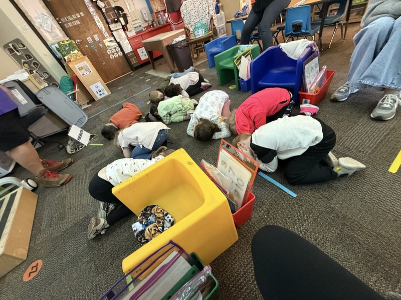 Animals Survive in Winter 2