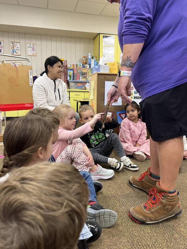 Animals Survive in Winter 1