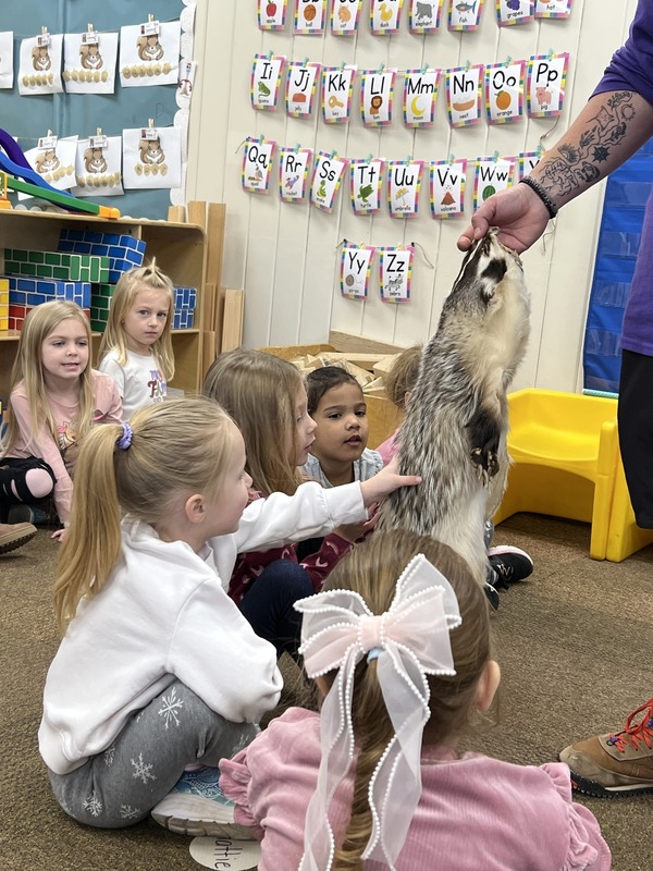 Animals Survive in Winter 3