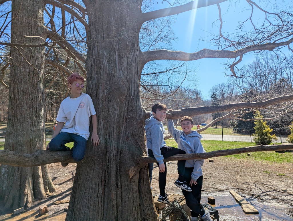 SCMS GT kids at Bernheim Forest