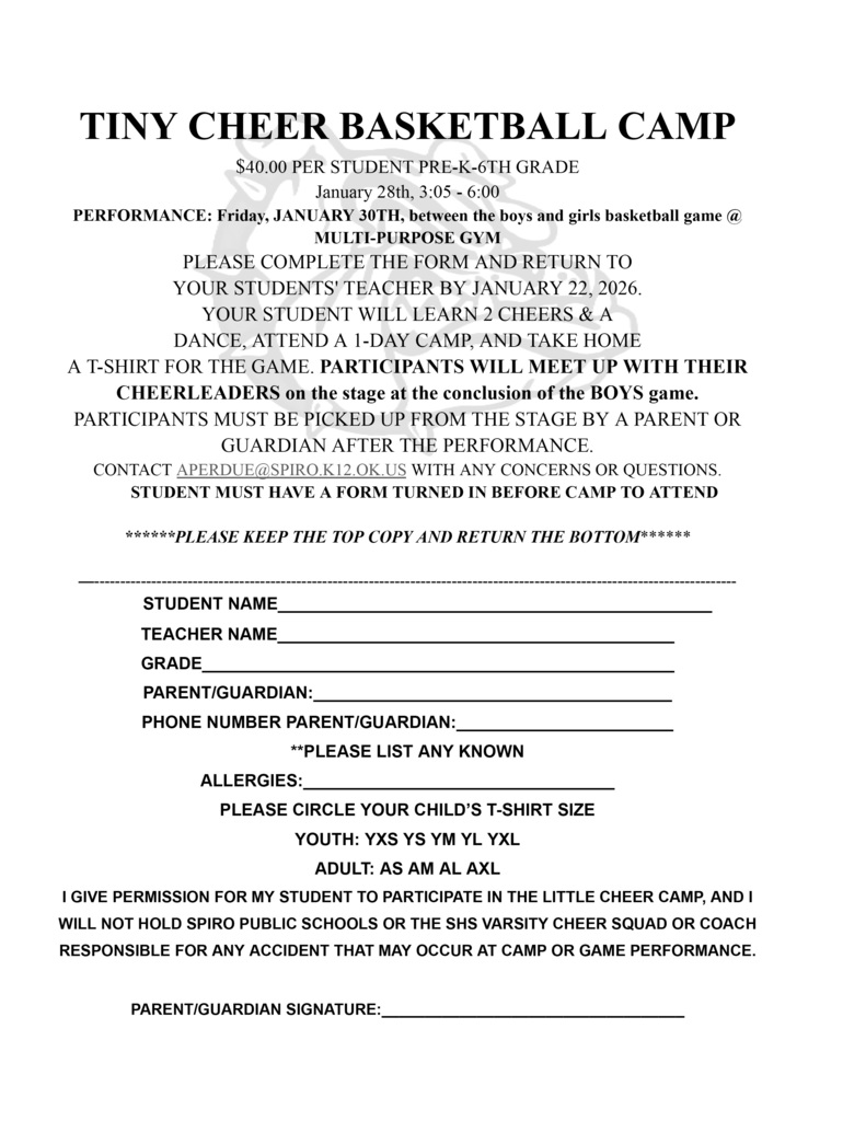 Cheer Camp Form
