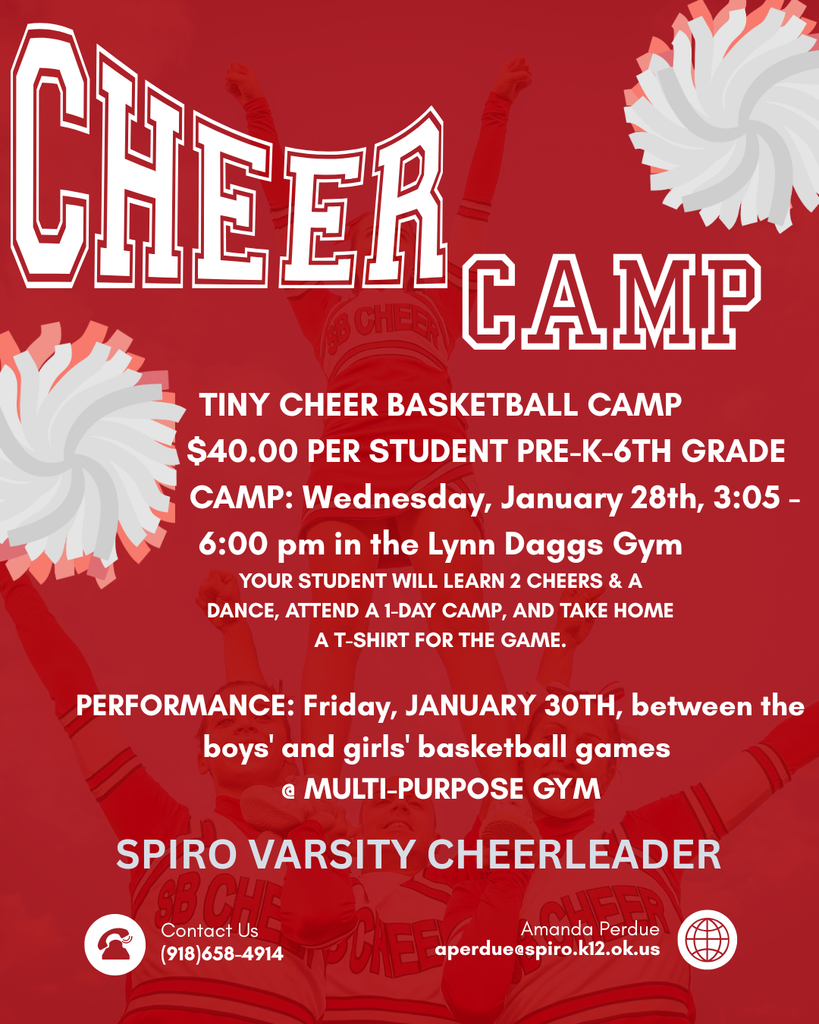Cheer Basketball Camp