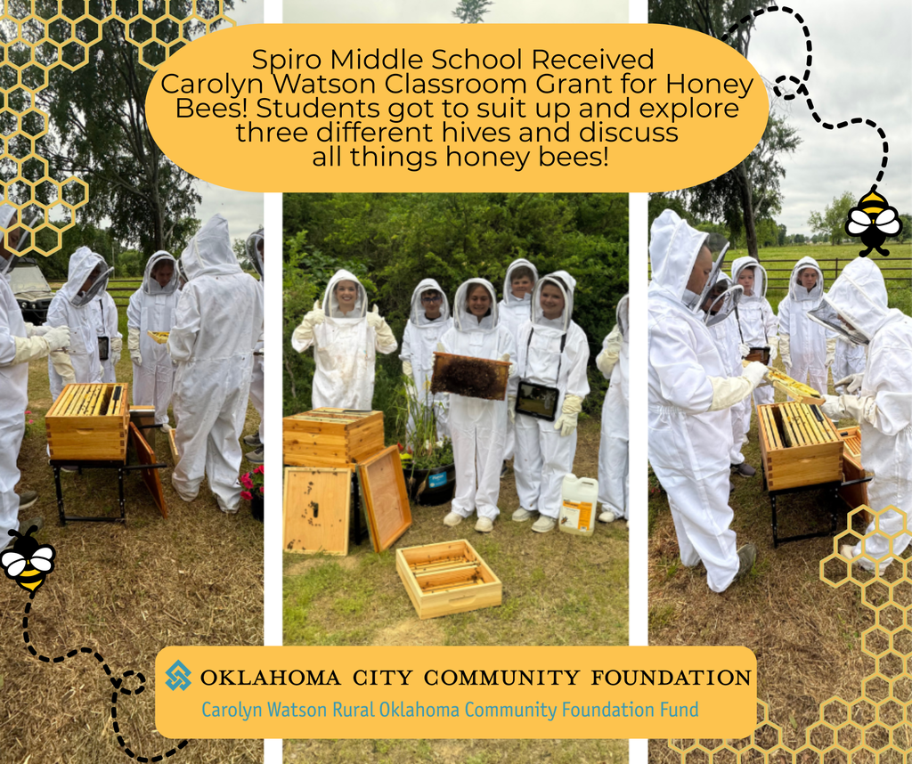SMS Bee Project
