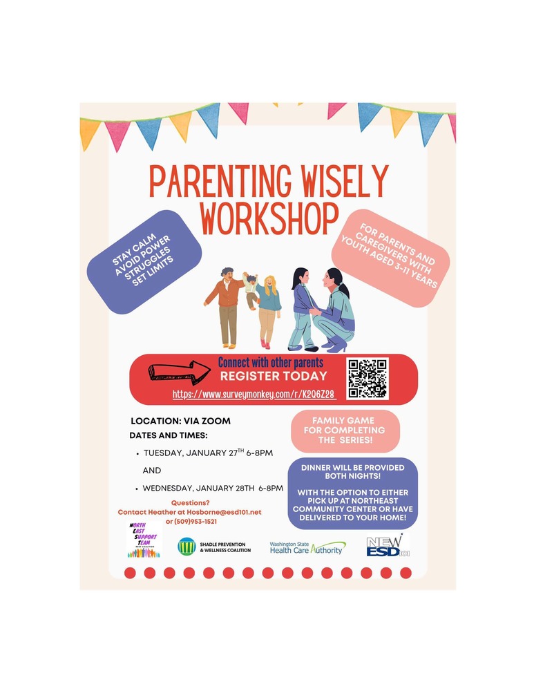 Parenting Wisely Workshop