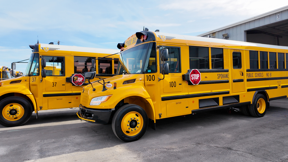 Yellow school buses