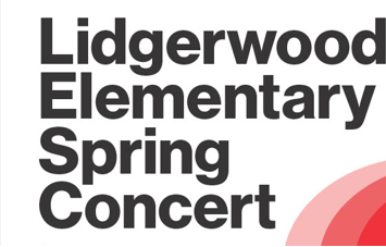 Outdoor concert