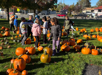 Kids selecting pumpkins