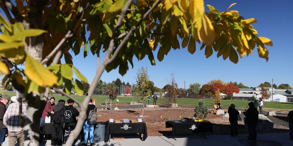 Outdoor community event in a park during autumn, with people gathered near tables covered in black cloth under a tree with yellow leaves. The background shows a grassy area, small trees with fall colors, and a clear blue sky.