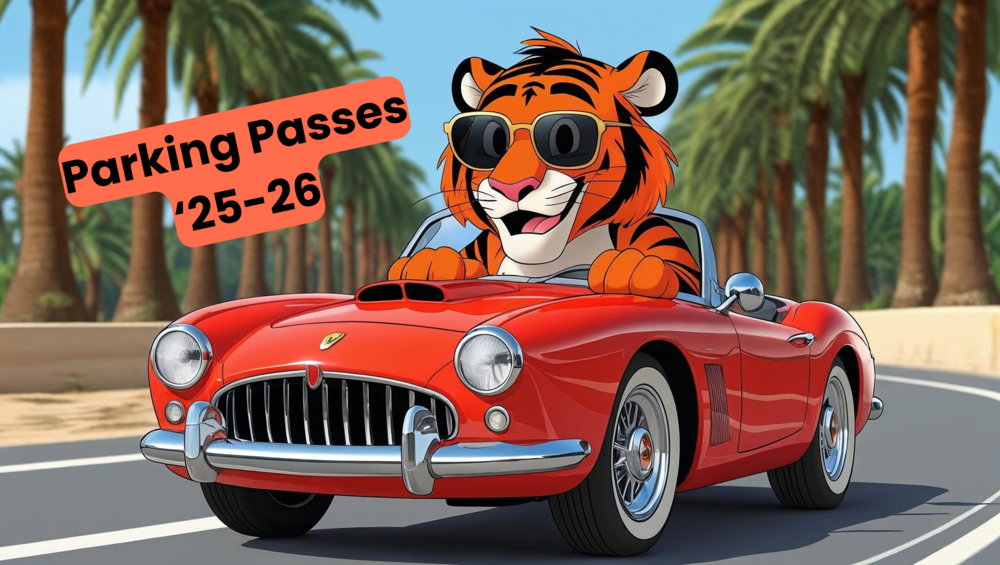 Parking passes