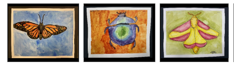 2026 SPS Middle School Art Show