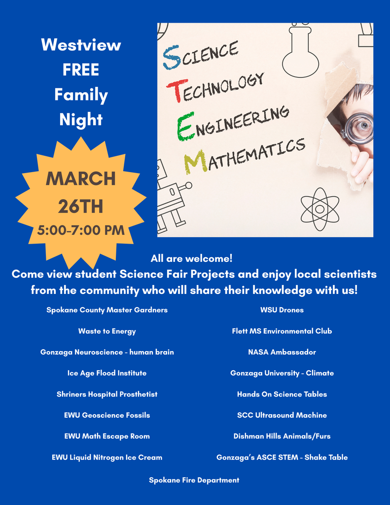 Science Fair Infographic