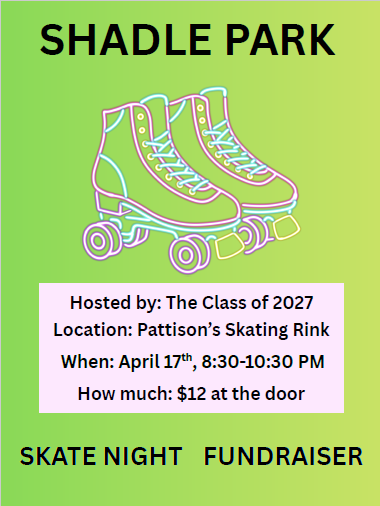 Roller skates on a green background