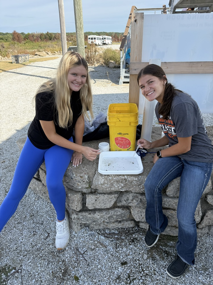collecting and sorting samples