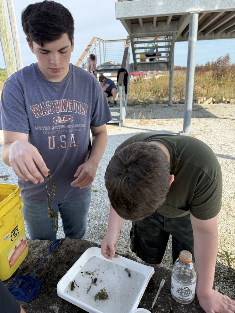 collecting and sorting samples