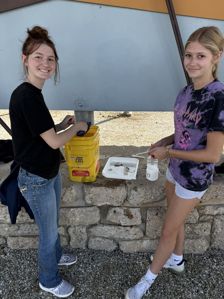 collecting and sorting samples
