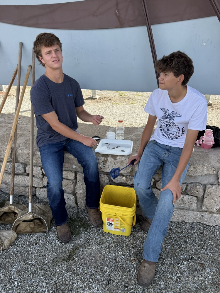 collecting and sorting samples