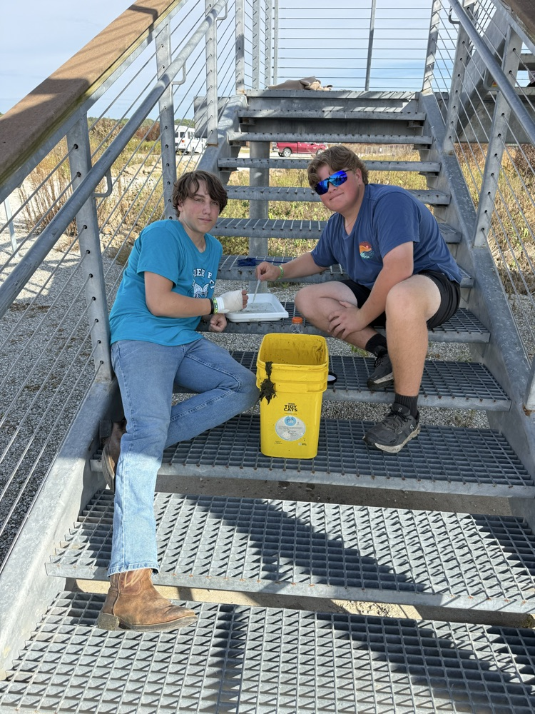 collecting and sorting samples