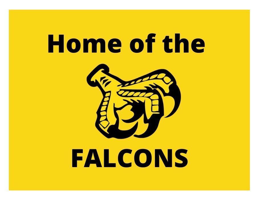 Falcon Talon