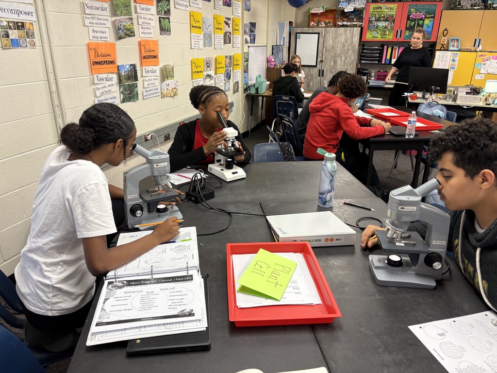 microscopes