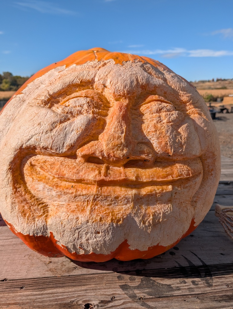 pumpkin