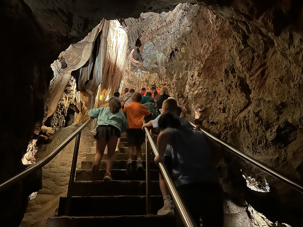 3-5 reward trip