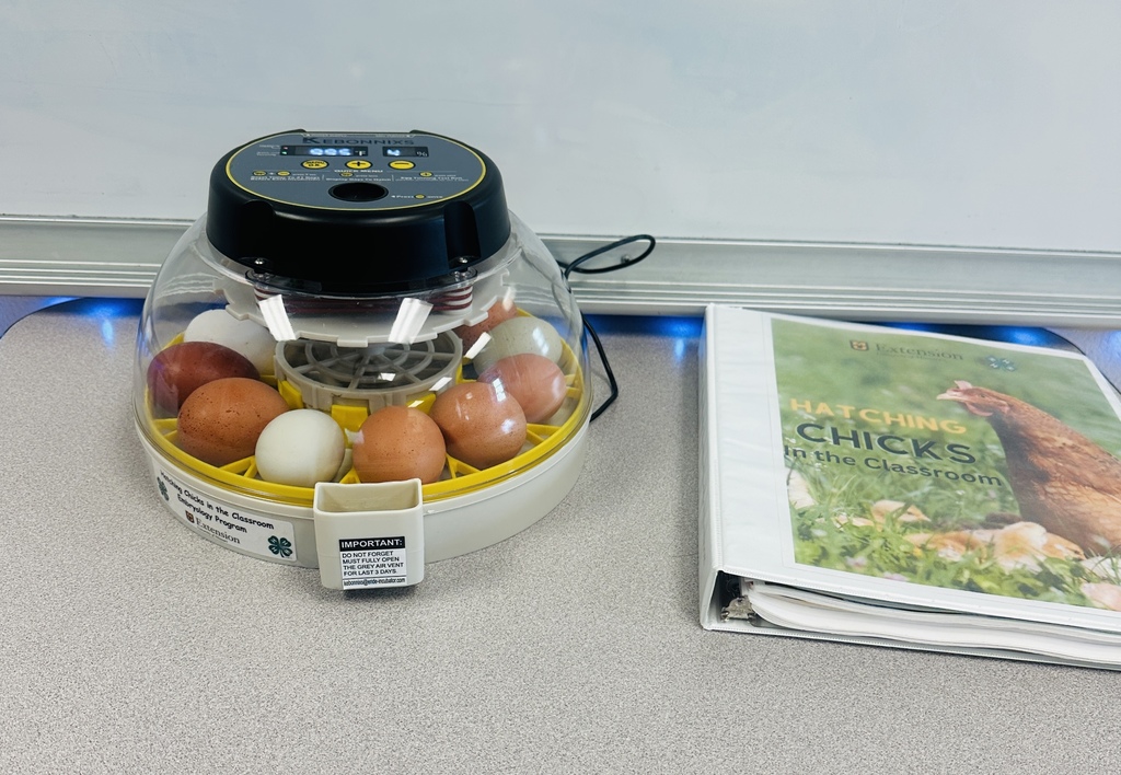 3rd grade eggs in the incubator