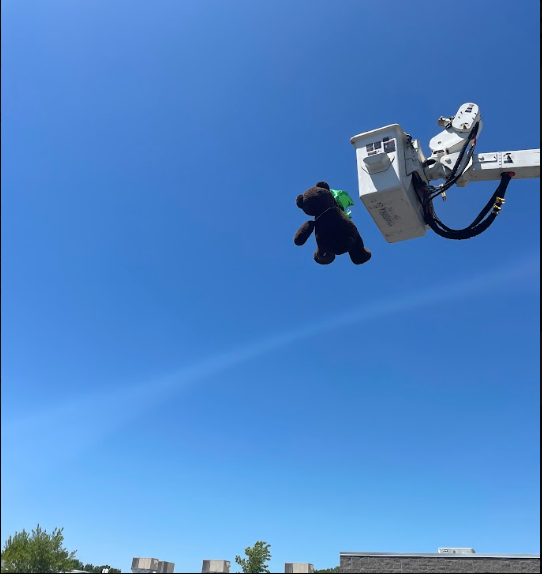a big teddy bear falling from a boom crane