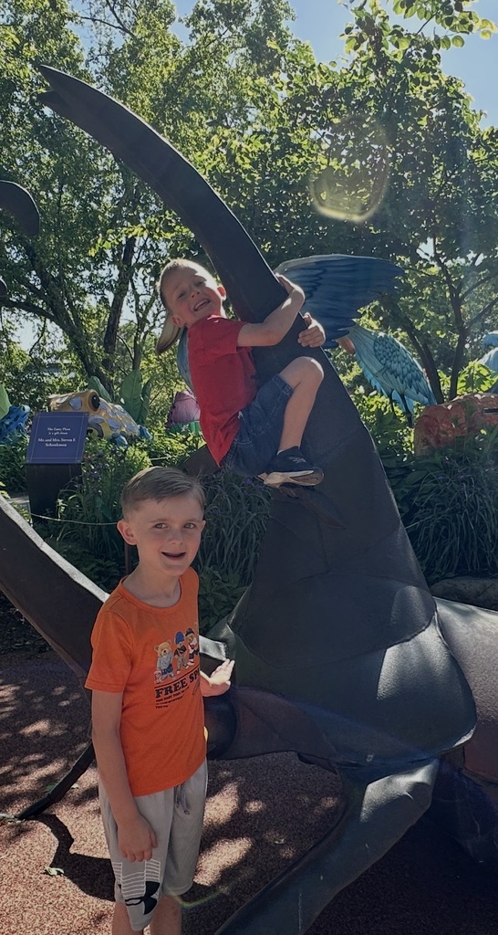 Kindergarten students at the zoo