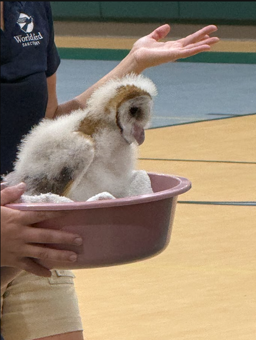 world bird sanctuary